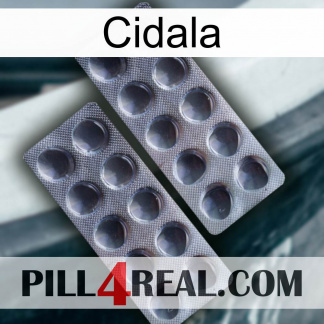 Cidala 31